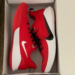 Mamba Focus Nike shoes